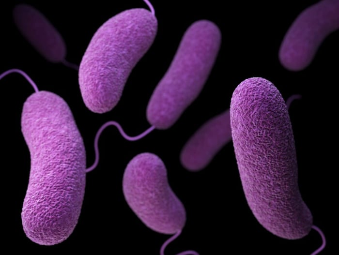 ウイルス 画像2